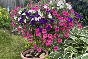 8420 22nd Ave, Kenosha, WI 53143 - Photo 39