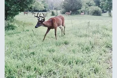 311 S Lapham Peak Rd, Delafield, WI 53018 - Photo 31