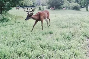 311 S Lapham Peak Rd, Delafield, WI 53018 - Photo 31