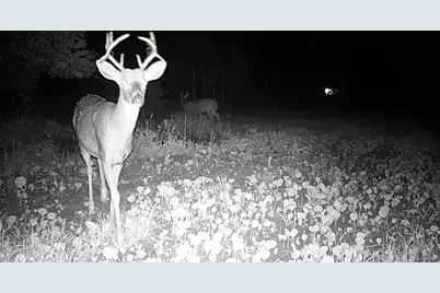 311 S Lapham Peak Rd, Delafield, WI 53018 - Photo 35