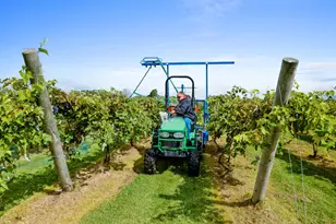 8520 Gass Lake Rd, Newton, WI 53063 - Photo 9