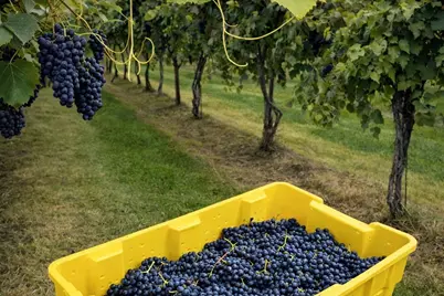 8520  Gass Lake Rd, Newton, WI 53063 - Photo 11