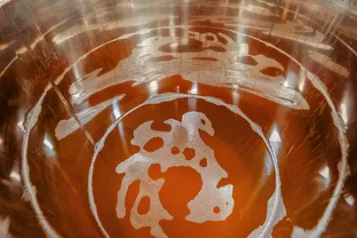 8520  Gass Lake Rd, Newton, WI 53063 - Photo 13