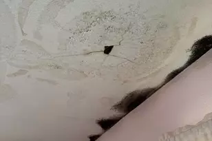 531 2nd St, La Crescent, MN 55947 - Photo 33