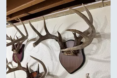 28890  County 25 -, Rushford, MN 55962 - Photo 51