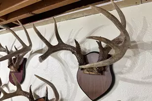 28890 County 25 -, Rushford, MN 55962 - Photo 51