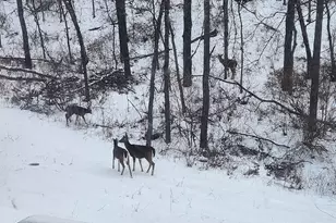 28890 County 25 -, Rushford, MN 55962 - Photo 37