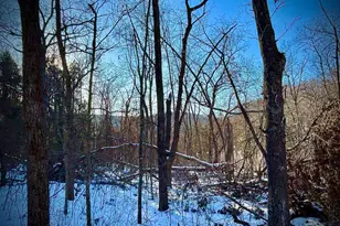 28890 County 25 -, Rushford, MN 55962 - Photo 79