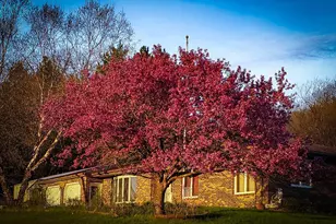 28890 County 25 -, Rushford, MN 55962 - Photo 65