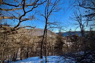 28890 County 25 -, Rushford, MN 55962 - Photo 77