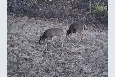 28890  County 25 -, Rushford, MN 55962 - Photo 47