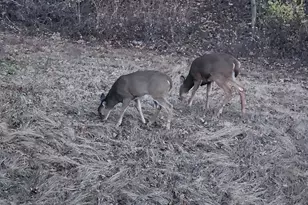 28890 County 25 -, Rushford, MN 55962 - Photo 47