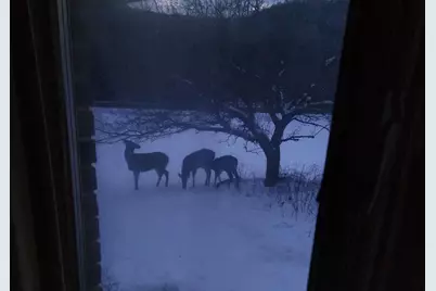 28890  County 25 -, Rushford, MN 55962 - Photo 57