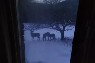 28890 County 25 -, Rushford, MN 55962 - Photo 57