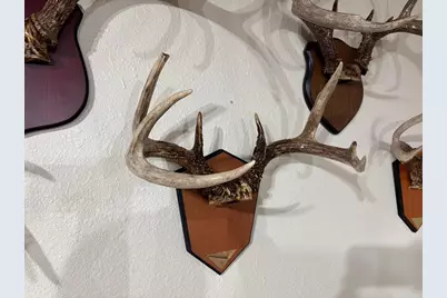 28890  County 25 -, Rushford, MN 55962 - Photo 49