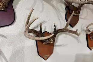 28890 County 25 -, Rushford, MN 55962 - Photo 49