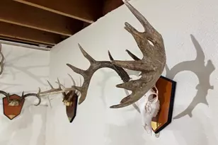 28890 County 25 -, Rushford, MN 55962 - Photo 55