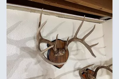 28890  County 25 -, Rushford, MN 55962 - Photo 53