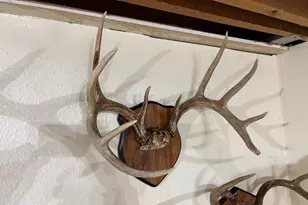 28890 County 25 -, Rushford, MN 55962 - Photo 53