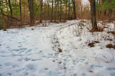 000  Bush Rd, Melrose, WI 54642 - Photo 19