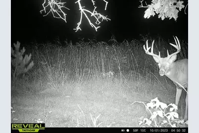 000  Bush Rd, Melrose, WI 54642 - Photo 35