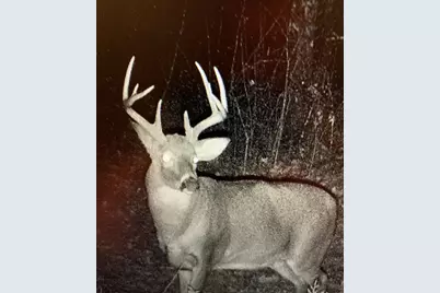 000  Bush Rd, Melrose, WI 54642 - Photo 39