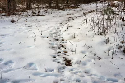 000  Bush Rd, Melrose, WI 54642 - Photo 25