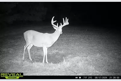 000  Bush Rd, Melrose, WI 54642 - Photo 11