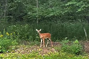 13737 N Lake Shore Dr, Mequon, WI 53097 - Photo 47