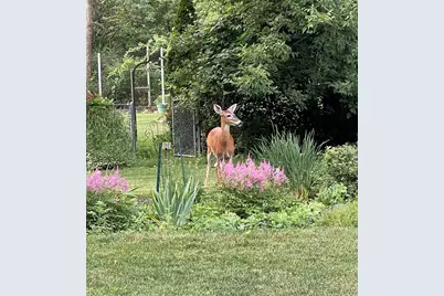 2844 S 132nd St, New Berlin, WI 53151 - Photo 67