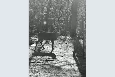 2844 S 132nd St, New Berlin, WI 53151 - Photo 69