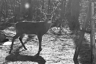 2844 S 132nd St, New Berlin, WI 53151 - Photo 69