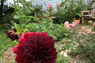 395 E Oak Ln, Oak Creek, WI 53154 - Photo 25