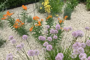 8307 N Greenvale Rd, Fox Point, WI 53217 - Photo 11