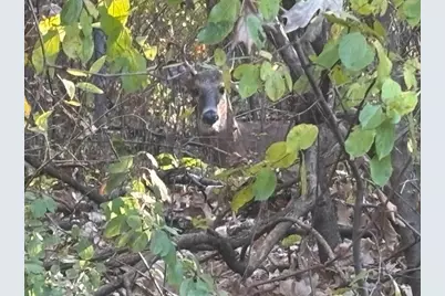 710 W Blackhawk Dr, Fort Atkinson, WI 53538 - Photo 33