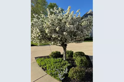 1810 E Bristlecone Dr, Hartland, WI 53029 - Photo 77