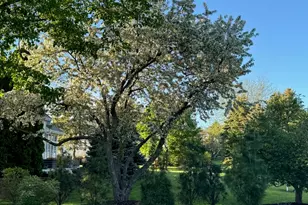 1810 E Bristlecone Dr, Hartland, WI 53029 - Photo 73