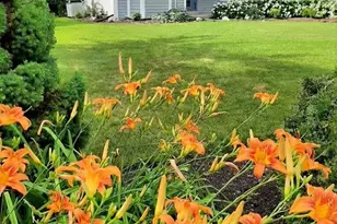 W342N6303 Kathy Dr, Lac La Belle, WI 53066 - Photo 25