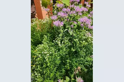 714 S 6th St, La Crosse, WI 54601 - Photo 23