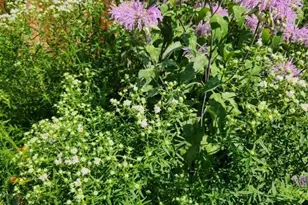 714 6th St, La Crosse, WI 54601 - Photo 23