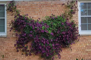 1002 Hales Trail, Port Washington, WI 53074 - Photo 37