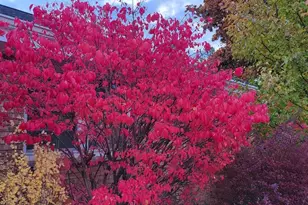 1002 Hales Trail, Port Washington, WI 53074 - Photo 35