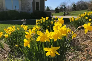 N60W27257 Trappers Run, Merton, WI 53089 - Photo 53