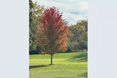 714  Thornridge Ct #B, Fontana, WI 53125 - Photo 23