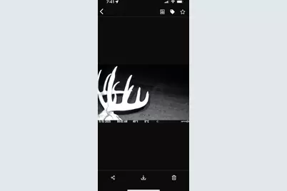 Parcel 3  Dd Hwy, Rockbridge, WI 53581 - Photo 5