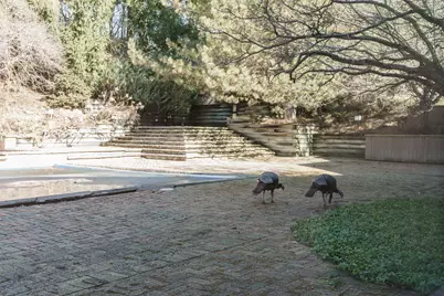 8263 N River Rd, River Hills, WI 53217 - Photo 35