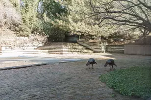 8263 N River Rd, River Hills, WI 53217 - Photo 35