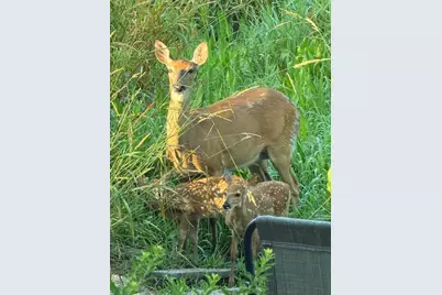 743  Royal Troon Ct, Oconomowoc, WI 53066 - Photo 77