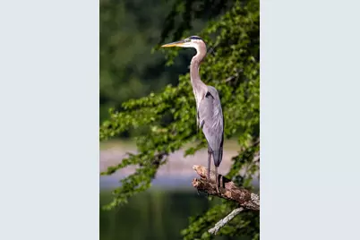 104  East Sutton Pl #D, Waukesha, WI 53188 - Photo 43