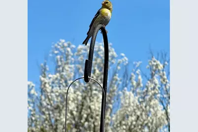 104  East Sutton Pl #D, Waukesha, WI 53188 - Photo 45